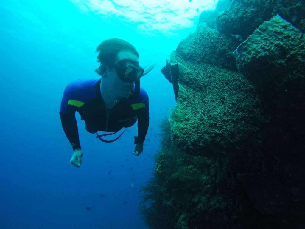 PADI BASIC FREEDIVER Bonaire Freediving School