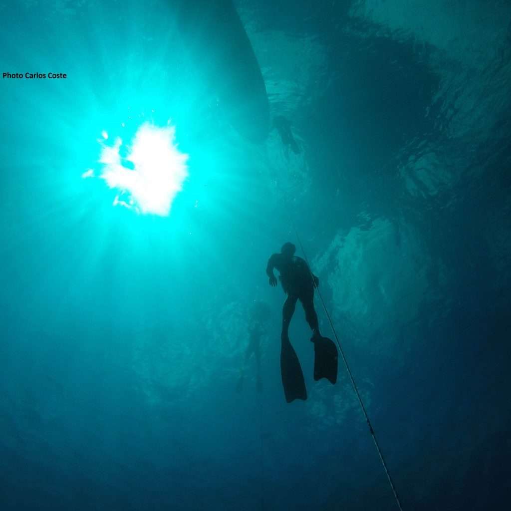 Freediving Certified Courses Bonaire Freediving School