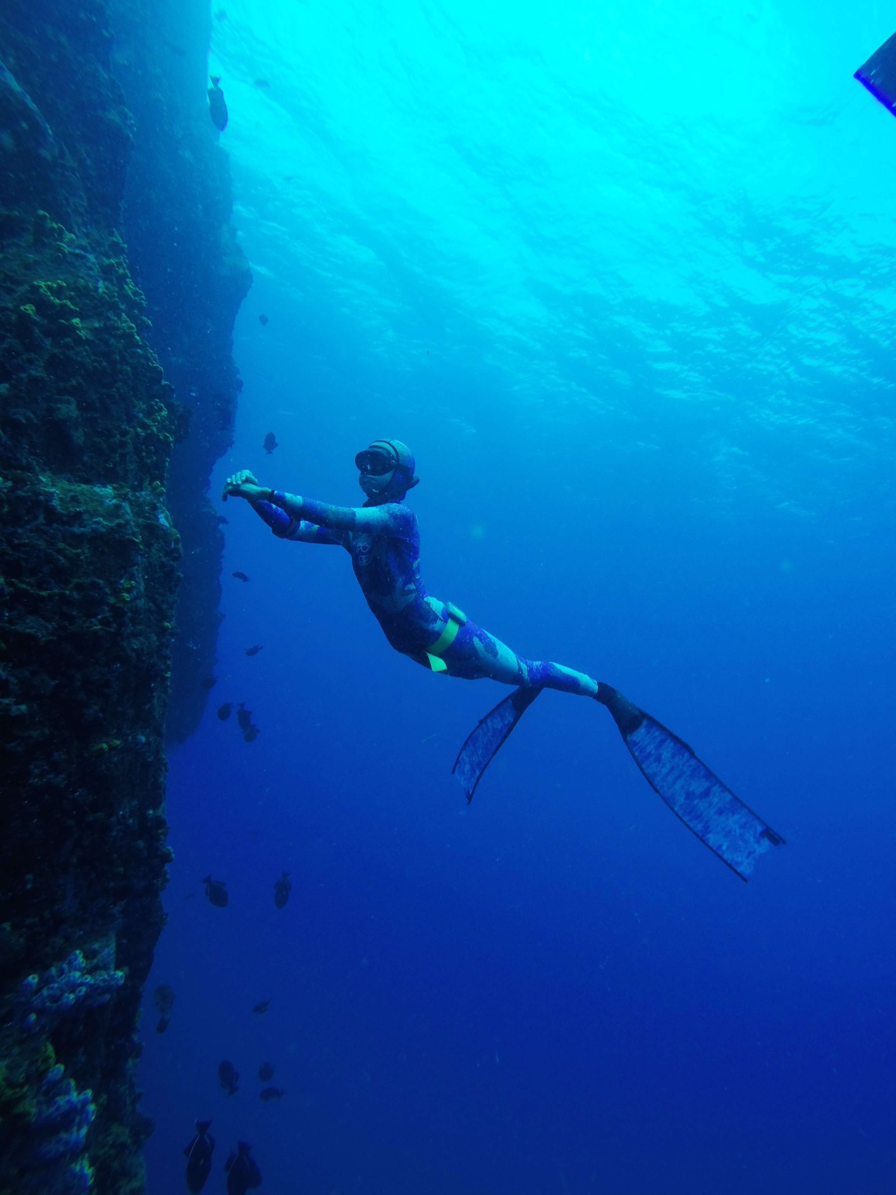 Best Freediving Courses Near Me Bonaire Freediving School