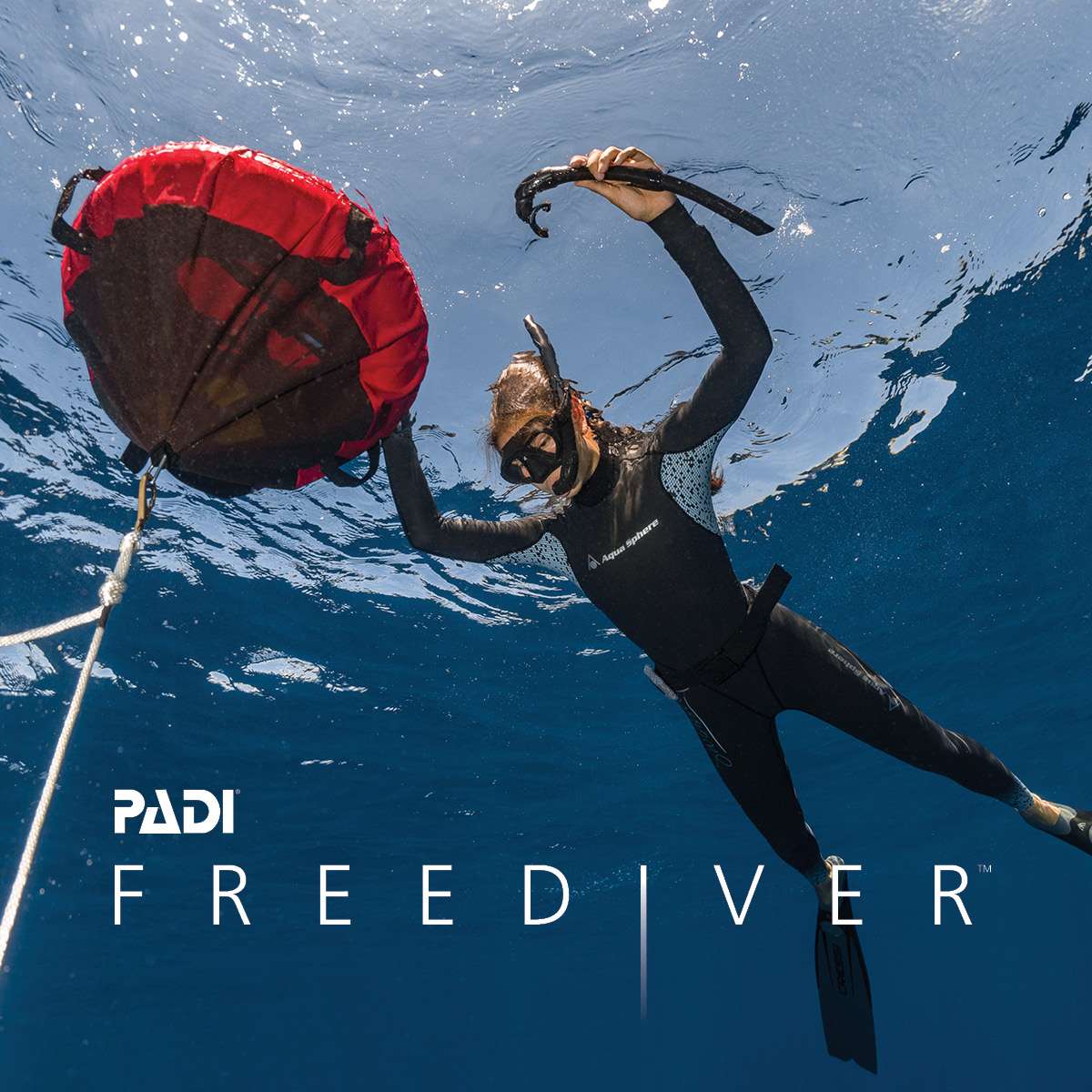 Freediving trips Archives - Bonaire Freediving School