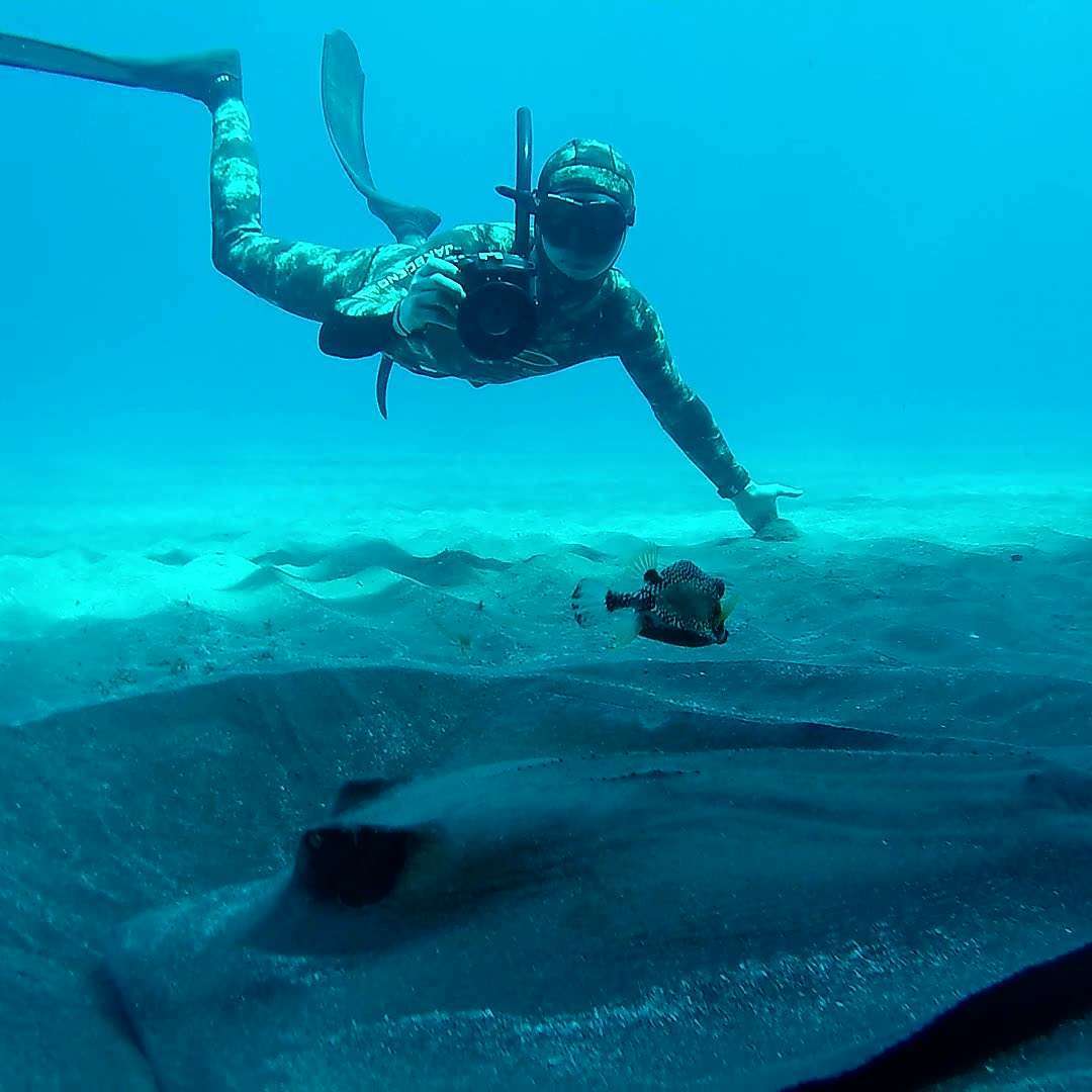 Shore freediving Bonaire Freediving School