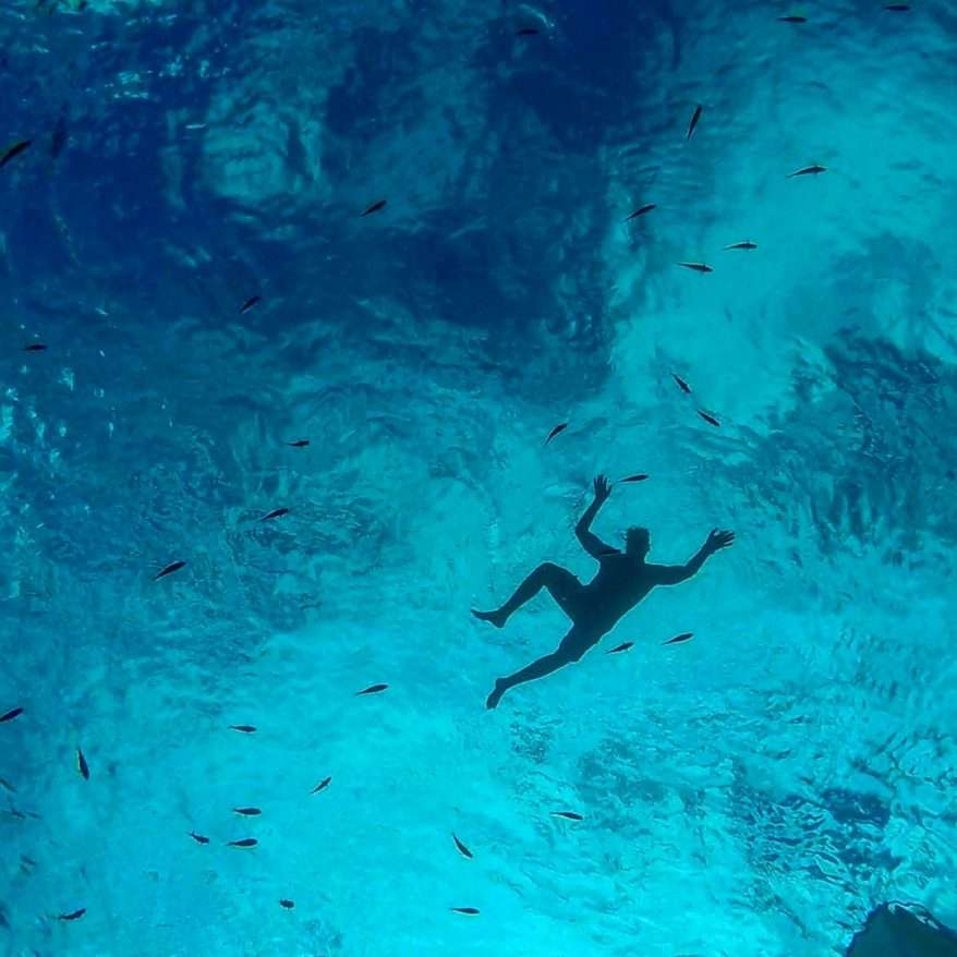 Gallery Bonaire Freediving School
