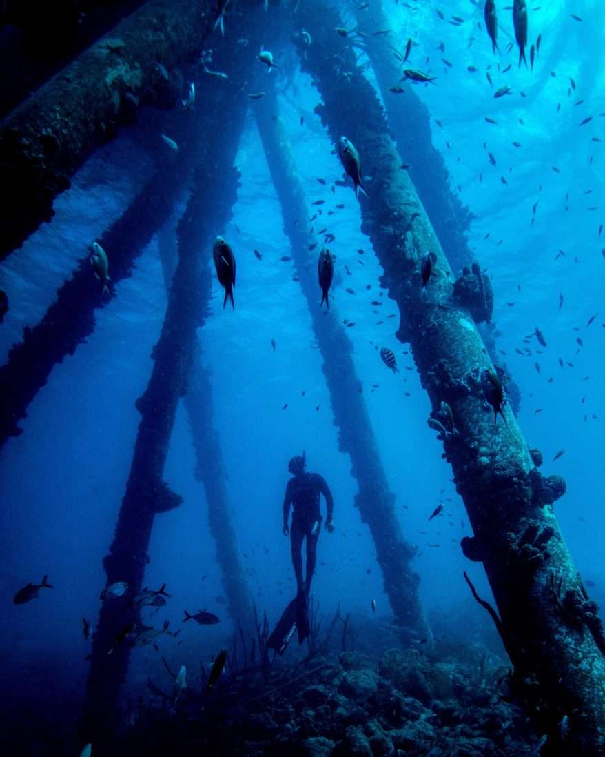 Freediving Introductory Course Bonaire Freediving School